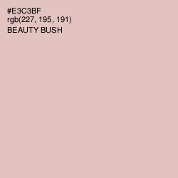 #E3C3BF - Beauty Bush Color Image